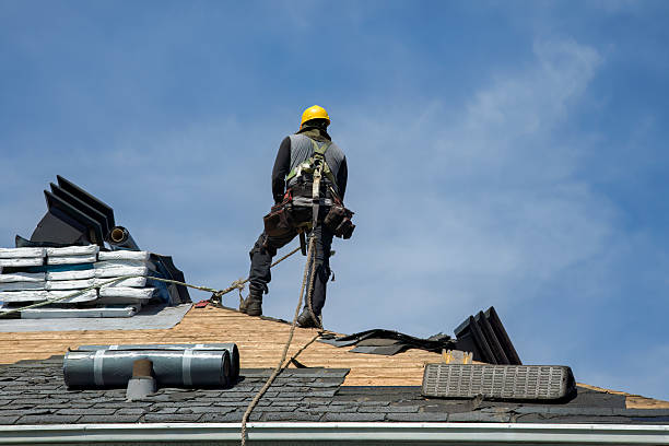 Professional Storm Damage Roof Repair technician working in Warnock, OH